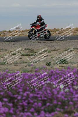 media/Jan-14-2023-SoCal Trackdays (Sat) [[497694156f]]/Turn 14 Exit Bloomig (145pm)/